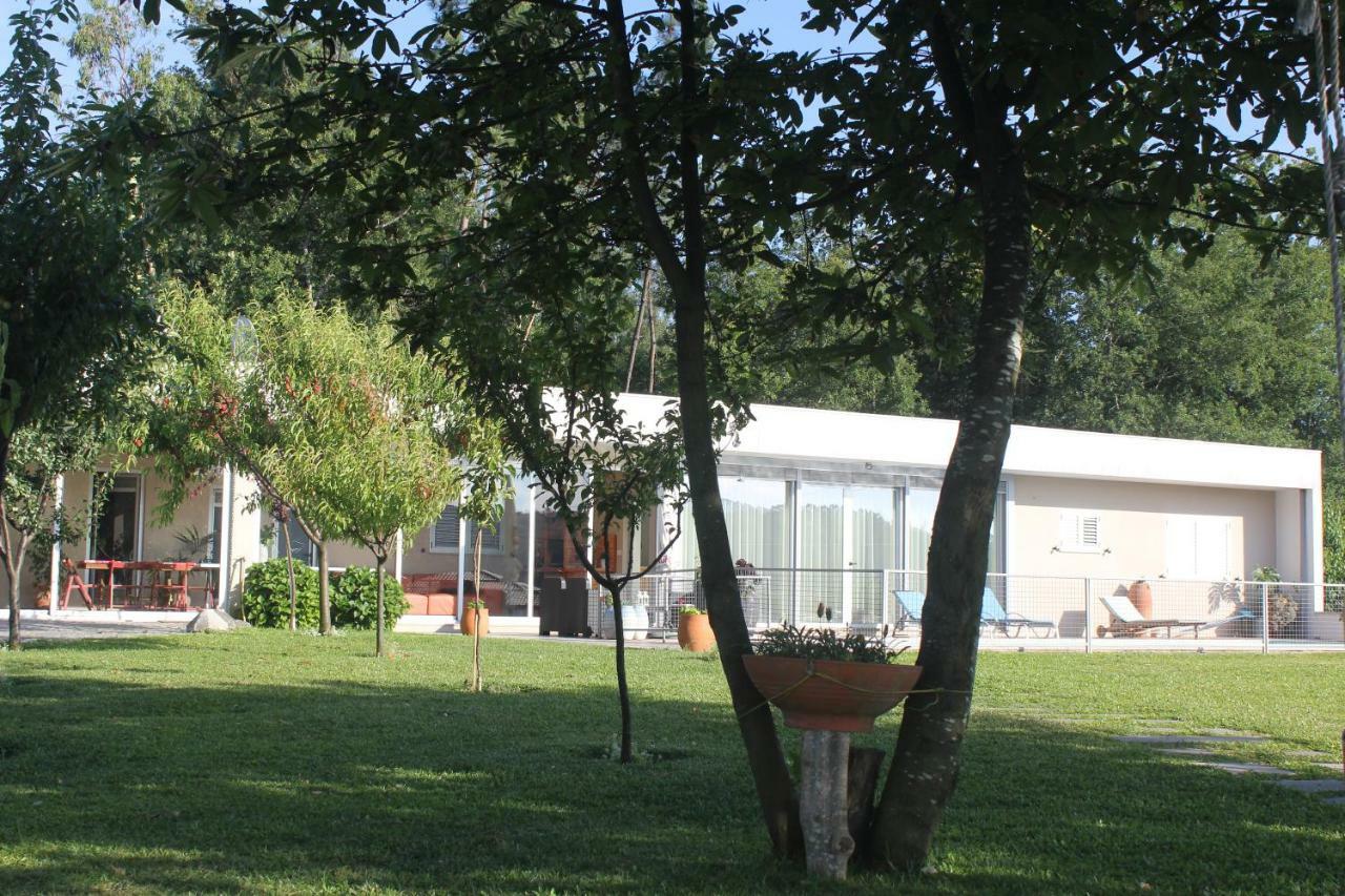Manuel Tiago Pereira Holiday home